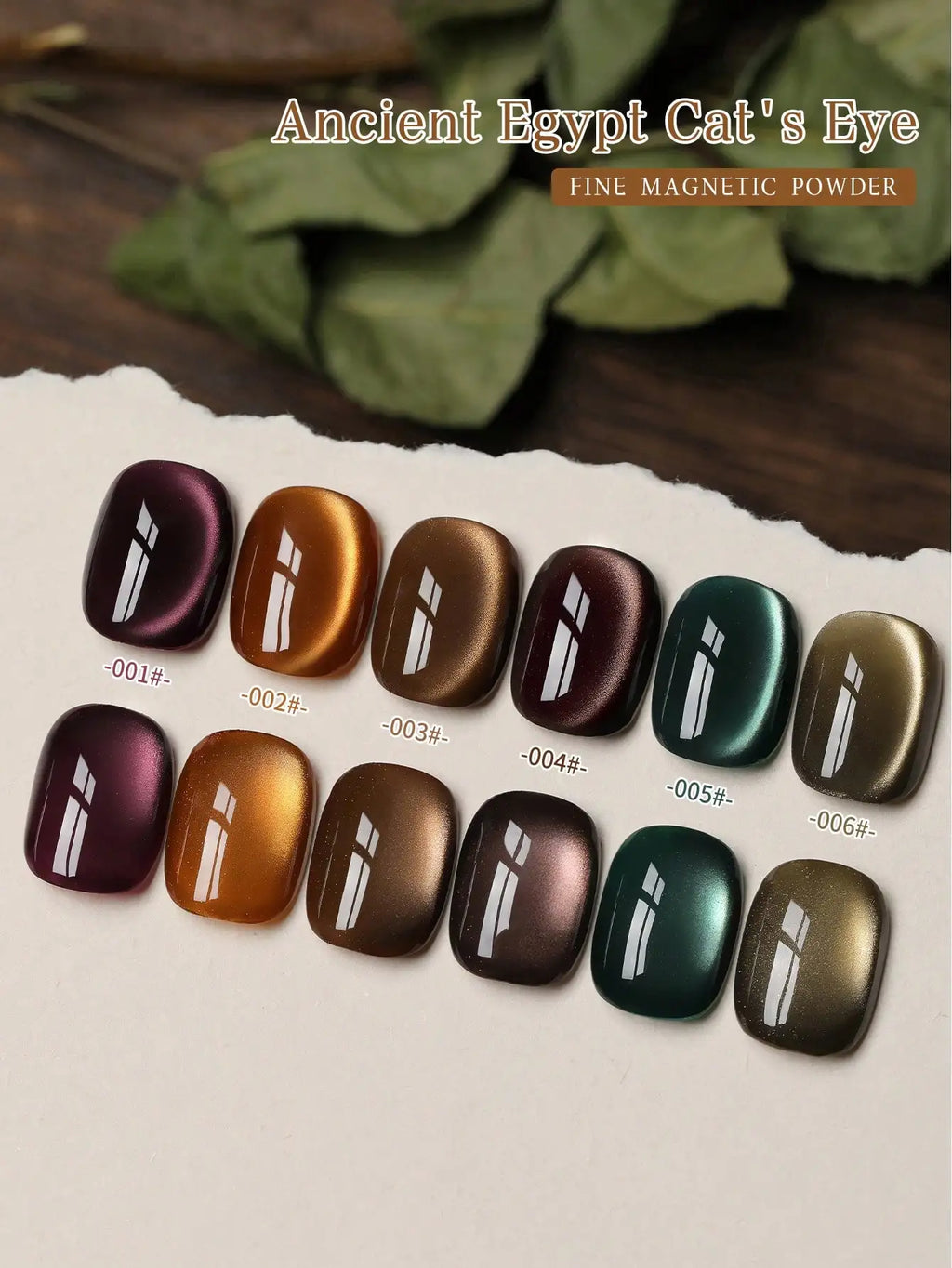 6Pcs Cat Eye Gel Nail Polish Set Soak Off UV French Cat Eye Gel Nail Polish Manicure Salon